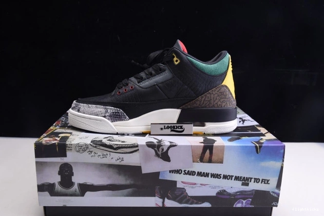 Jordan Retro Instinct CV3583-003 - Animal Air 2.0 3 SE 0809